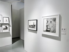 AIPAD 2022, Installation View
