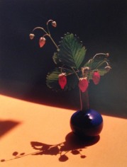 Horst P. Horst, Strawberry in Blue Vase