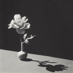 Horst, Peony in a Broken Blue Vase, 1986