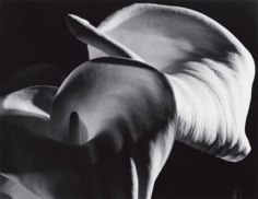Horst P. Horst, Calle Aethiopica, 1945