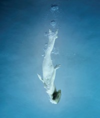 Howard Schatz, Underwater Study 2250