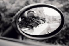 Priscilla Rattazzi, Lola, Rear View Mirror, East Hampton, 2007