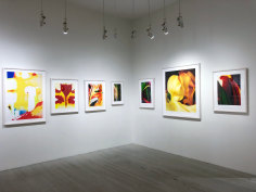Joel Grey, Exhibition View