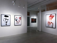 Erik Madigan Heck, Exhibition View