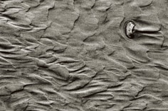 Priscilla Rattazzi, Autumnal Sands, East Hampton, 1999