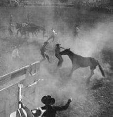 Andre de Dienes, Wild Horse Riding Contest at the Rodeo, Arizona 1950