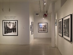 Melvin Sokolsky, Exhibition View