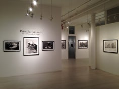 Priscilla Rattazzi, Exhibition View