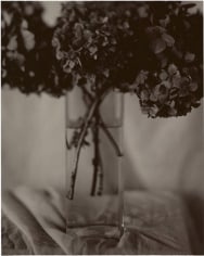 Firooz Zahedi, Hydrangeas, 1997