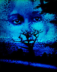 Kali, Blue Cypress, Carmel, CA, 1969