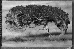 Marco Glaviano, Ashley Dancing with Tree, St. Barths, 1984