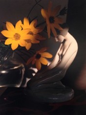 Horst P. Horst, Coreopsis