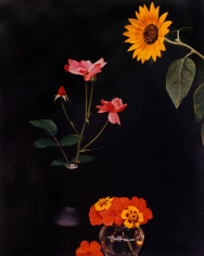 Horst P. Horst, Sunflower, Roses, and Poppies, c. 1985