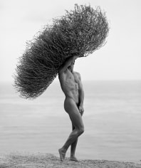 Herb Ritts, Male Nude with Tumbleweed, Paradise Cove, 1986