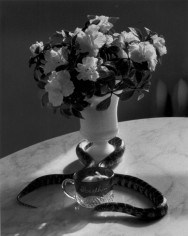 Andr&eacute; Kert&eacute;sz, Still-life with Flowers and Snake, New York, 1960