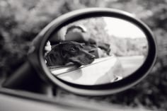 Priscilla Rattazzi, Lola, Rear View Mirror, East Hampton, 2007