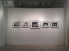 Ron Galella, Exhibition View