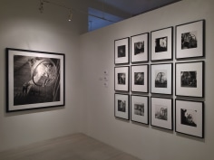 Melvin Sokolsky, Exhibition View
