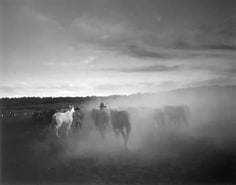 Kurt Markus, Oro Ranch, Prescott, Arizona, 1983
