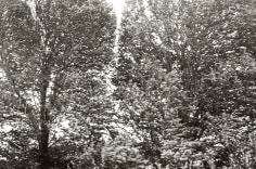 Priscilla Rattazzi, Hurricane Irene I, East Hampton 2011