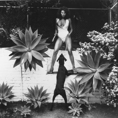 Helmut Newton, Raquel Welch in Her Garden, Beverly Hills, 1981