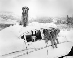 Bruce Weber, Summer Snow Storm, Little Bear Ranch, Montana, 1994