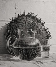 Horst, Still Water with Dried Sunflower, Oyster Bay, New York, 1951