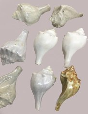 Salon du Dessin Contemporain 2009