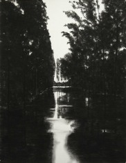 April Gornik, Flooded Trees, 2001