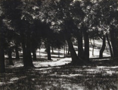 April Gornik, Shadow Light, 2002