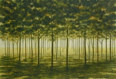 April Gornik, Mirror Forrest, 2001
