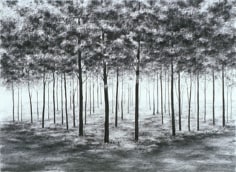 April Gornik, Mirror Forest, 1999