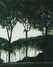 April Gornik, Light Through the Trees, 2002
