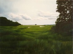 April Gornik, Marsh to the Sea, 2003