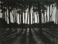 April Gornik, Edge of the Forest, 2001