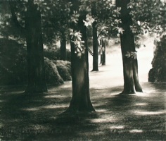 April Gornik, Old Tree Light, 1999