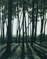 April Gornik, Edge of the Forest, 2002