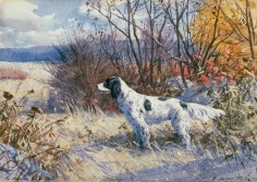 Image of sold canine portrait painting by Aiden Lassell Ripley entitled &quot;Mr. DuMont's Dog&quot; showing an English Cocker Spaniel.