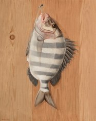 Image of trompe l'oeil sold oil painting of a Sheepshead fish by William Aiken Walker.