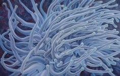 Image of Nikolina Kovalenko's painting entitled &quot;Anemone&quot; showing a healthy anemone in a coral bed.
