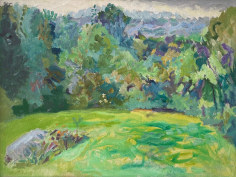 Image of Nell Blaine's oil painting entitled &quot;Summer, Quaker Hill&quot; showing a green hillside.
