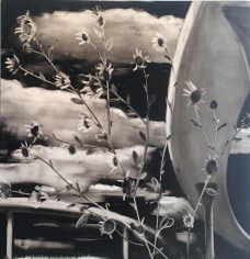 BRINTZ GALLERY, JOE ANDOE, Untitled, 2017, Oil on canvas, 72 by 70 inches, Tulips, Garden Party, Unique Art
