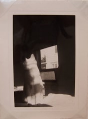 Cat by Window, 1950, 3 2/16 x 4 2/16 in.
