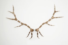 Michael Joo. Improved Rack(Elk #14), 2008.&nbsp;Elk antlers, stainless steel, 230 x 143 x 45 cm.&nbsp;Courtesy of the artist &amp;amp; PKM Trinity Gallery.