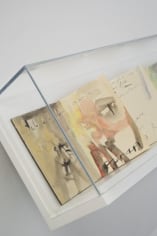 A photograph of 1 vitrine containing a leporello by Etel Adnan