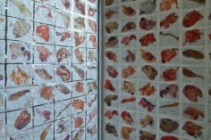 A close-up photograph of the tessellated artwork of meat of varied types