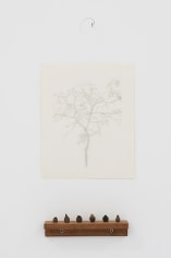 An installation view of a pencil on paper drawing of a Japanese pagoda tree. Beneath is is a small sculpture of small seeds on a shelf; above it is a single swirl of hair wrapped around a nail and making a corkscrew shape.