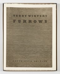 Terry Winters, Furrows, 1989