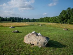 Installation view of&nbsp;Martha Tuttle,&nbsp;A stone that thinks of Enceladus,&nbsp;2020, Outlooks: Martha Tuttle,&nbsp;Storm King Art Center,New Windsor, NY, 2021.