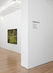 Installation view of Traces of Us: Recent Photography, 2025, Peter Blum Gallery, New York, NY